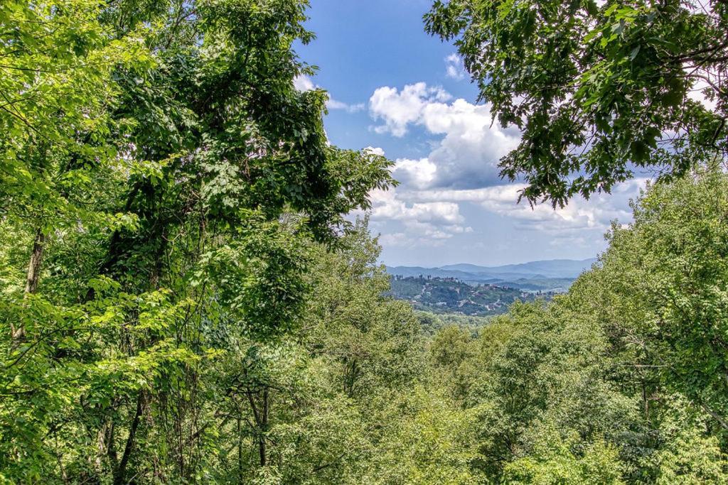 Serenity Heights, Amazing Views, Hot Tub Pool Access, 1089 Free Tickets Each Paid Day, Dollywood Gatlinburg Exteriér fotografie