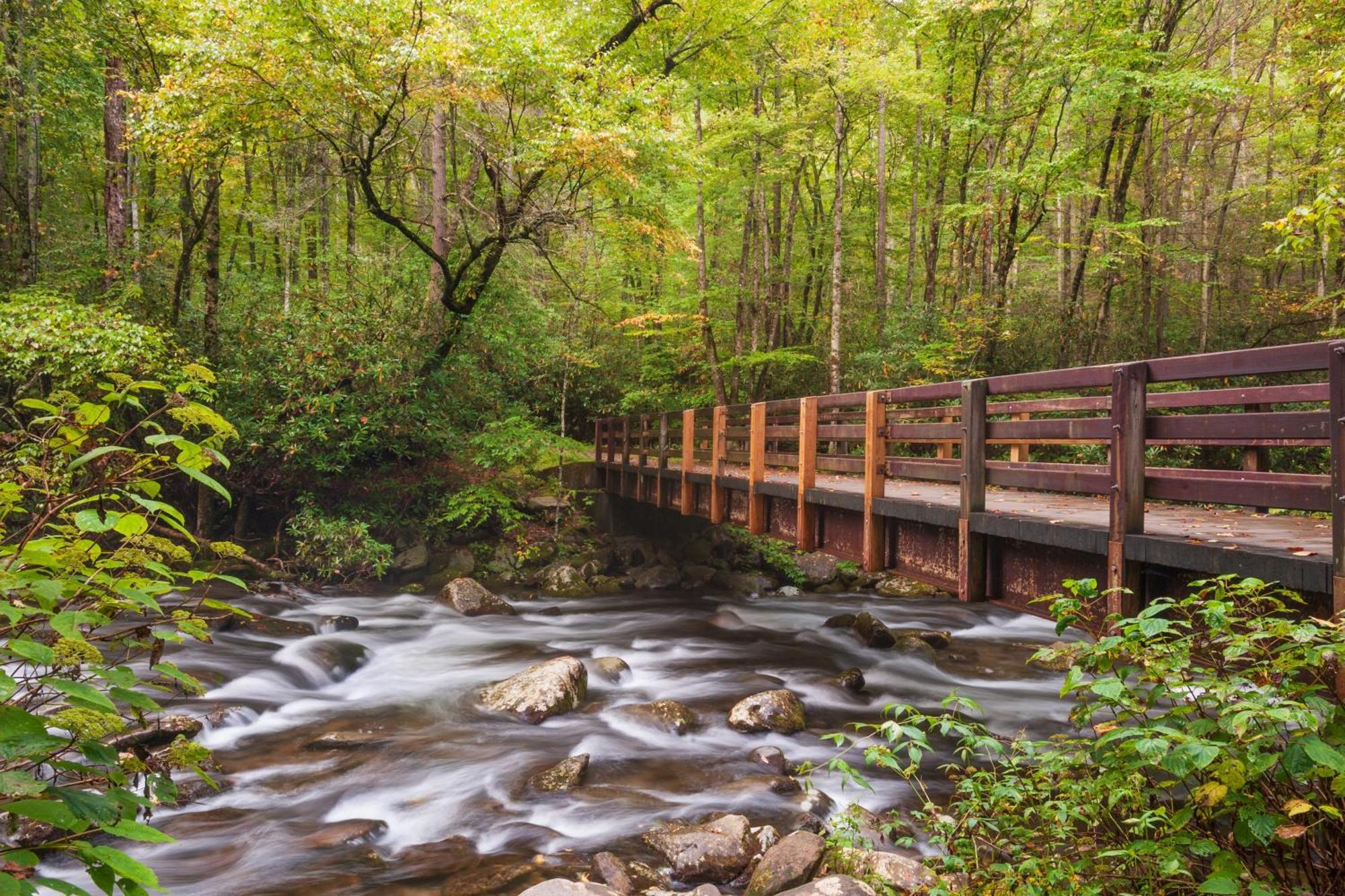 Serenity Heights, Amazing Views, Hot Tub Pool Access, 1089 Free Tickets Each Paid Day, Dollywood Gatlinburg Exteriér fotografie